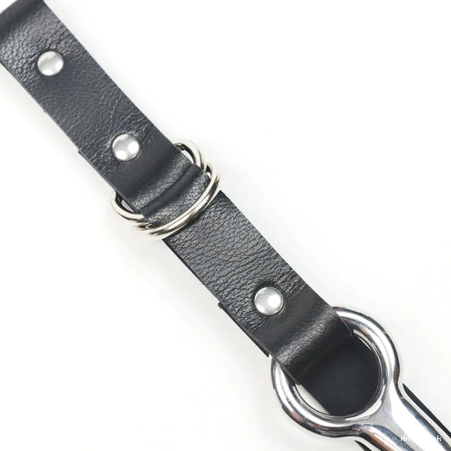 Kinky and Leash Collar 5853 Hook Anal with EverydayUse 0731